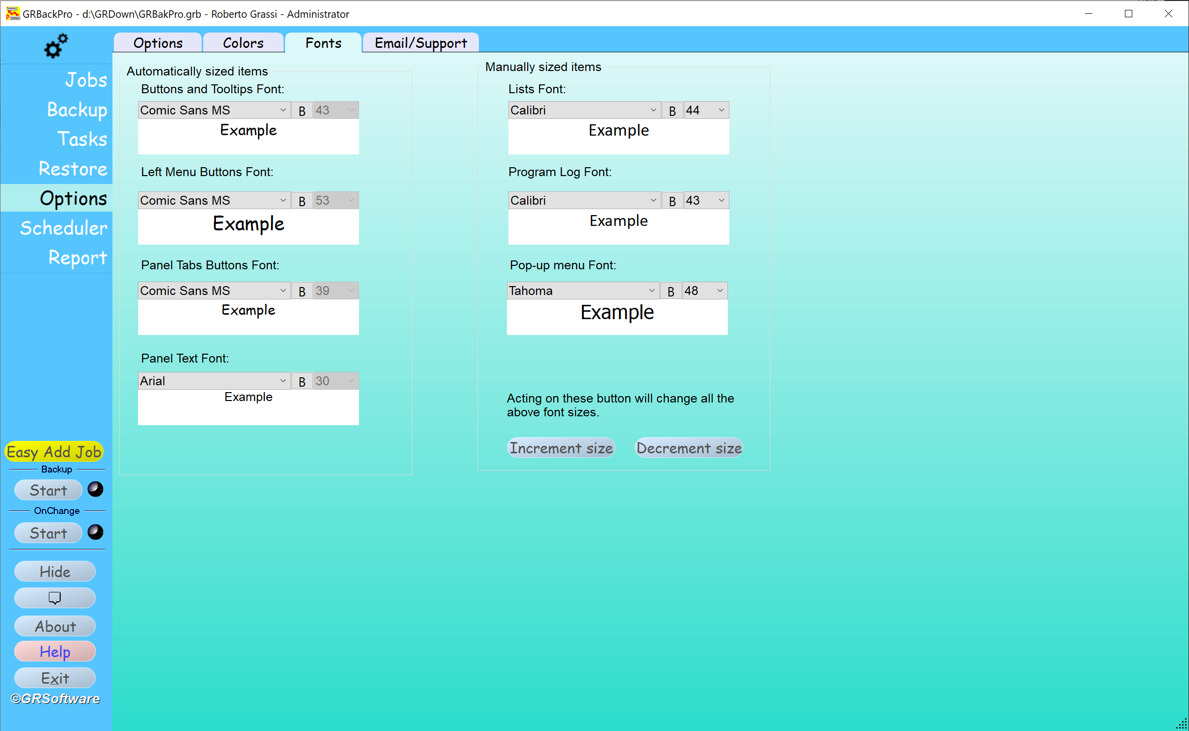 Backup Software Options dialog image